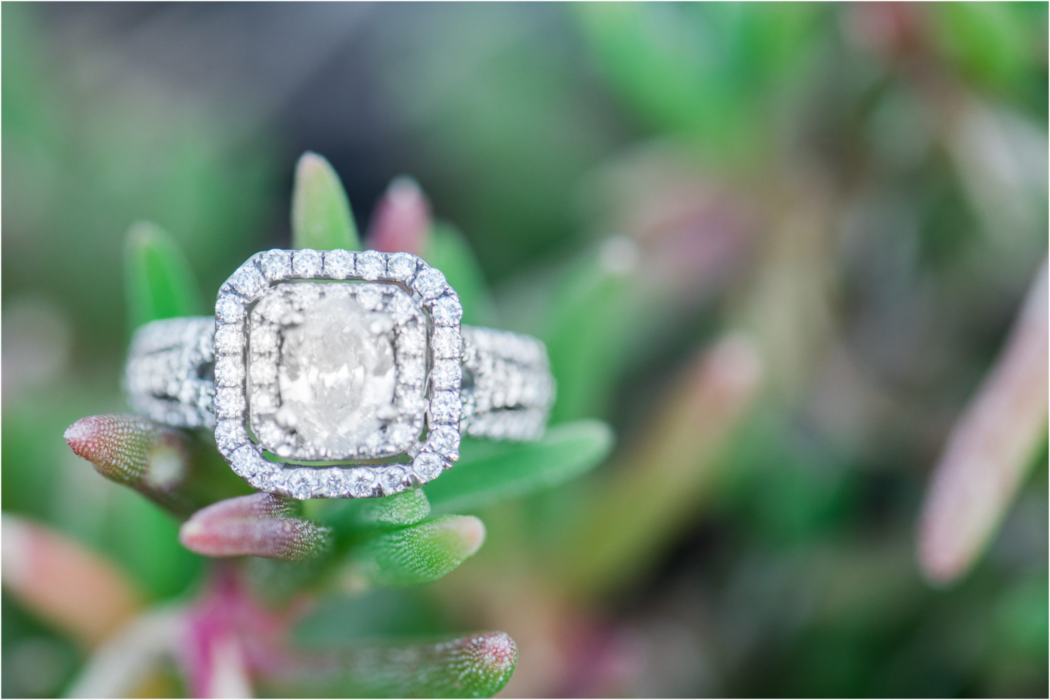Engagement ring photography using succulents.