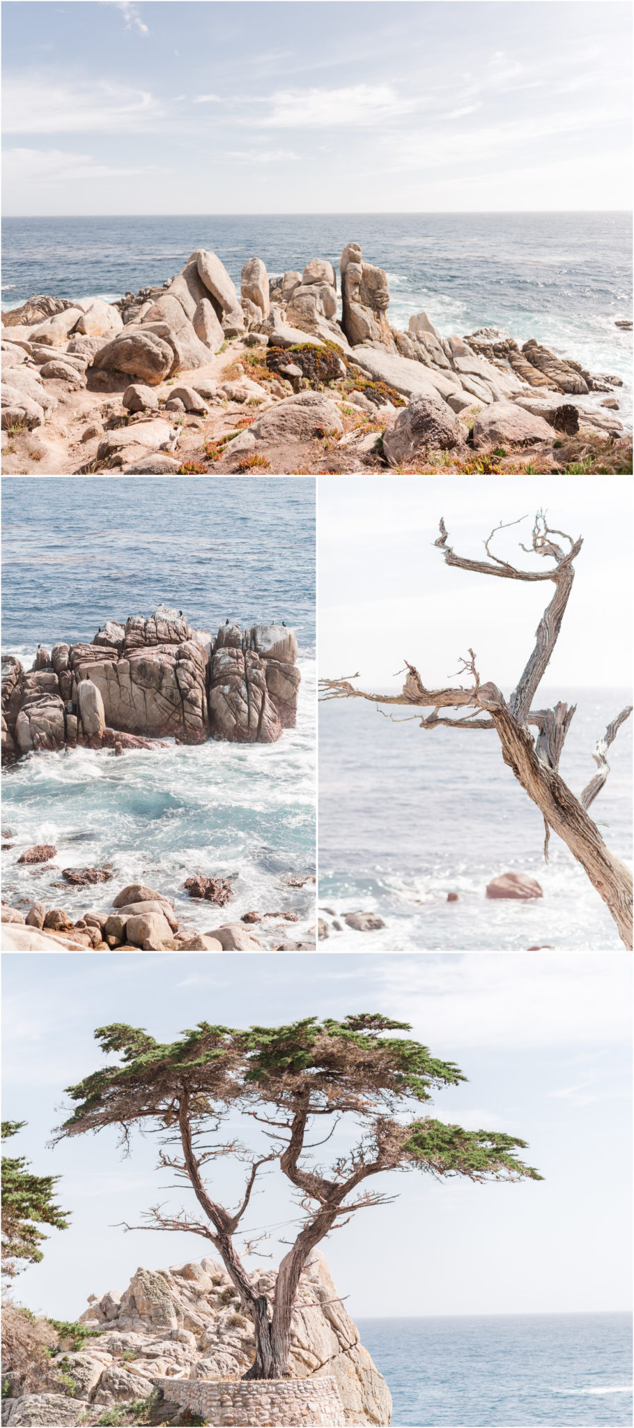 17-Mile Drive Pebble Beach and the Lone Cypress