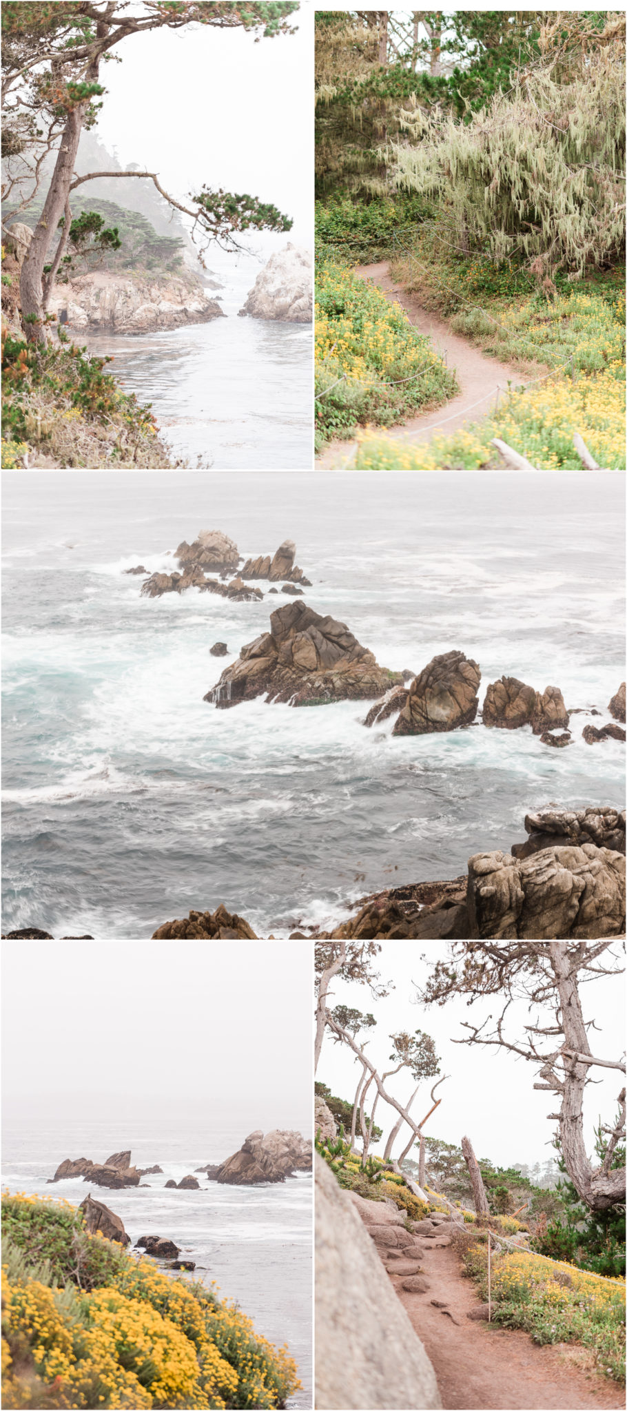 Point Lobos State Natural Reserve Carmel California