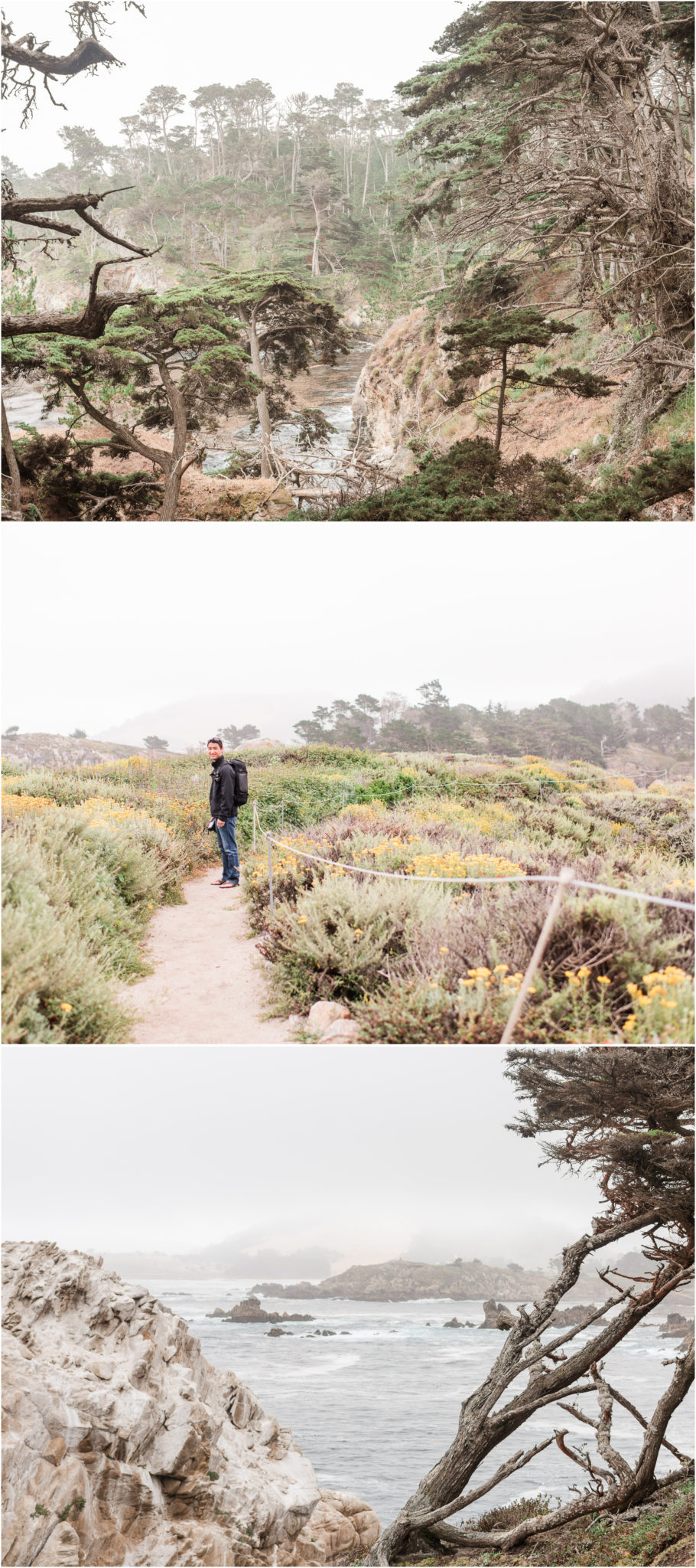 Point Lobos State Reserve Carmel California
