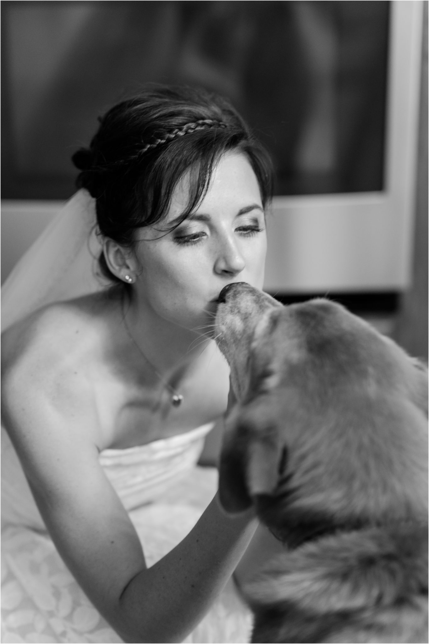 Bride and dog wedding photos