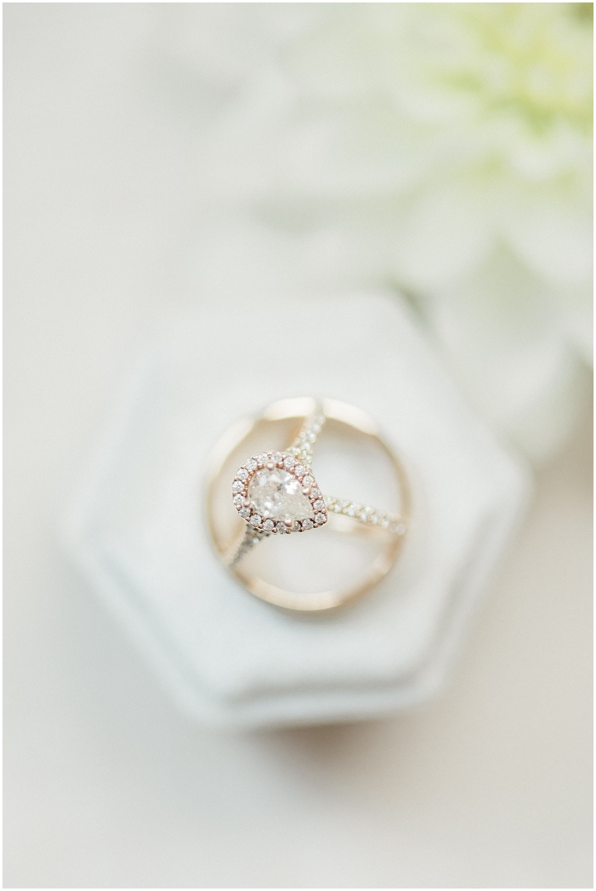 Wedding Rings and Ivory Ring Box
