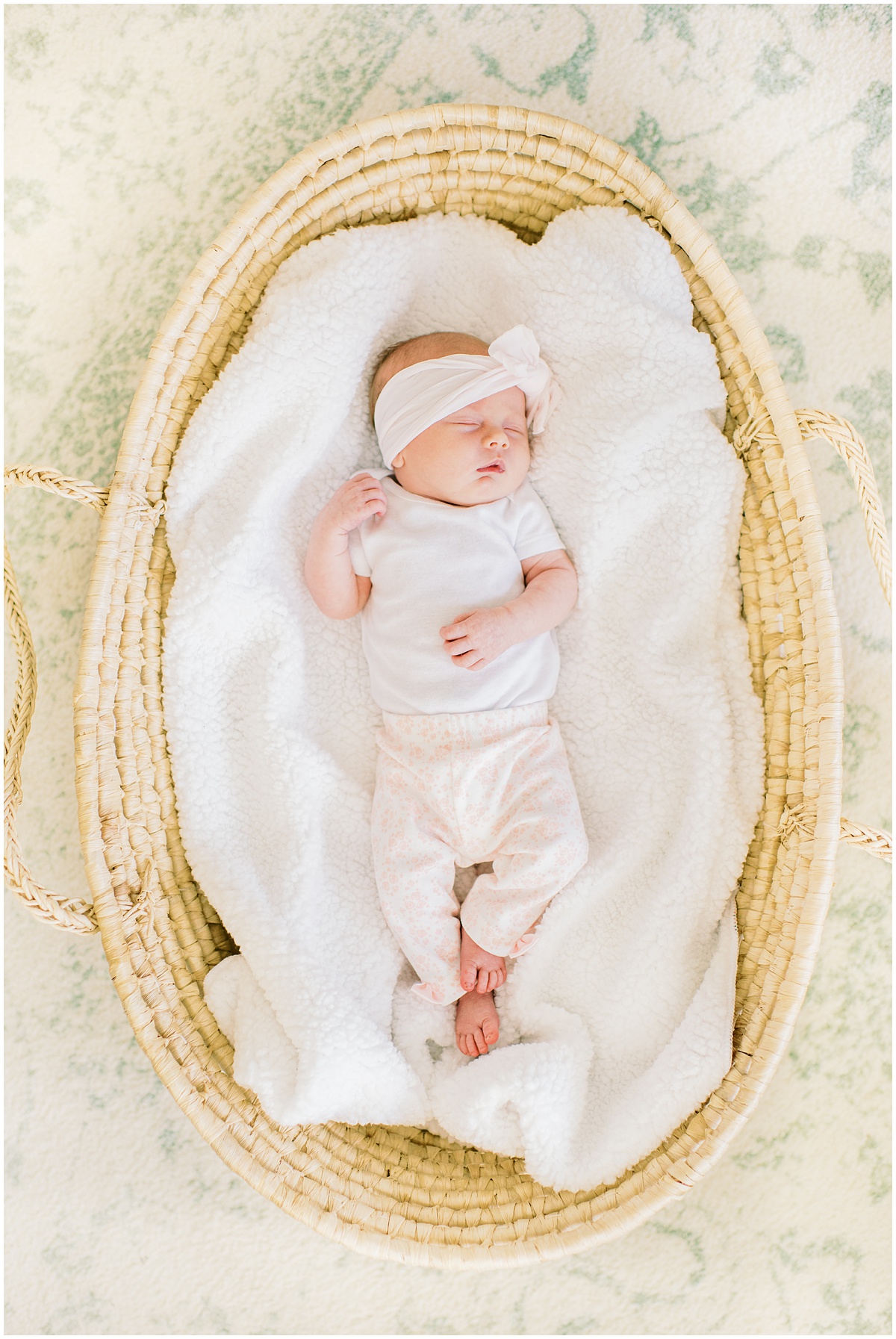 Greer newborn photographer