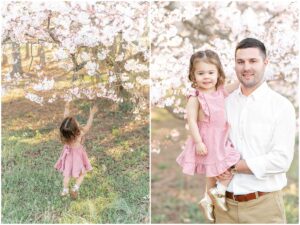Spartanburg SC family photography, cherry blossom session.