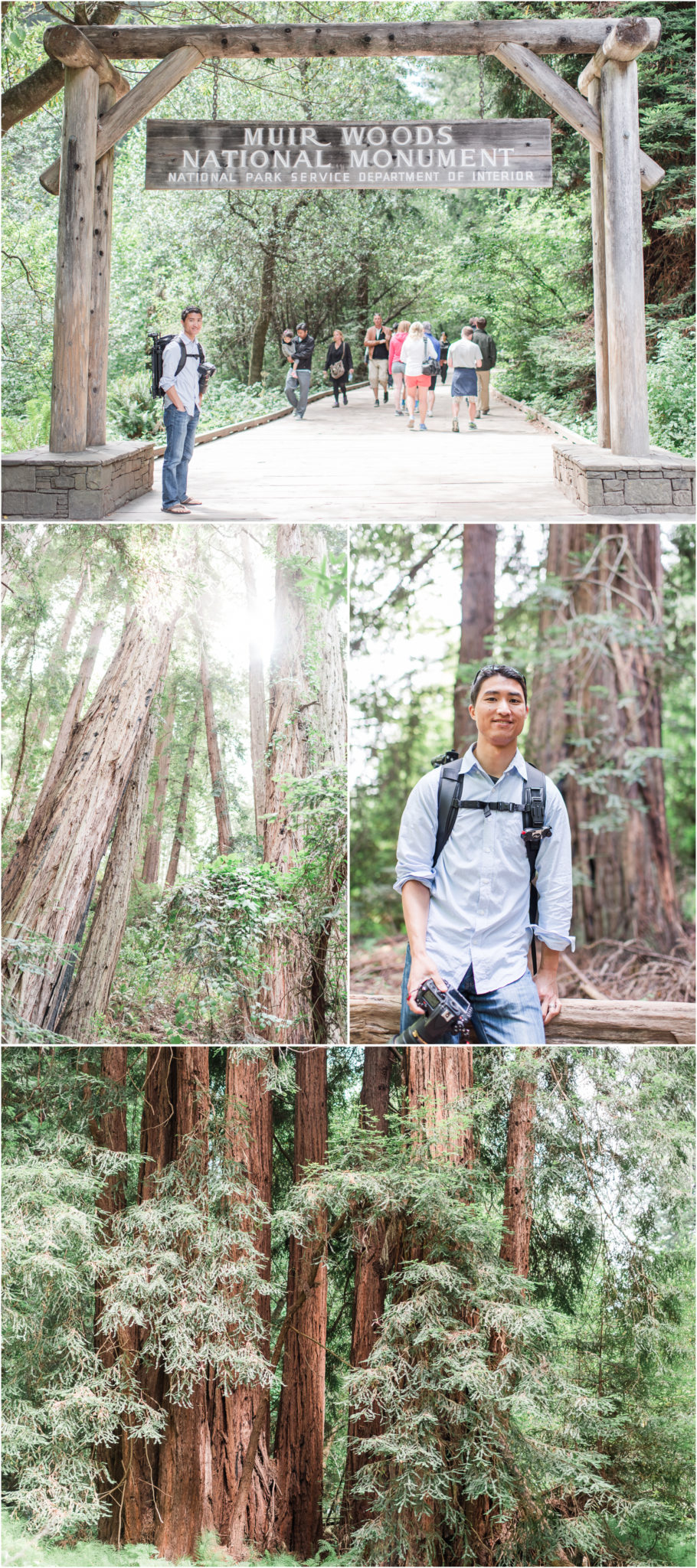 Muir Woods California Redwoods