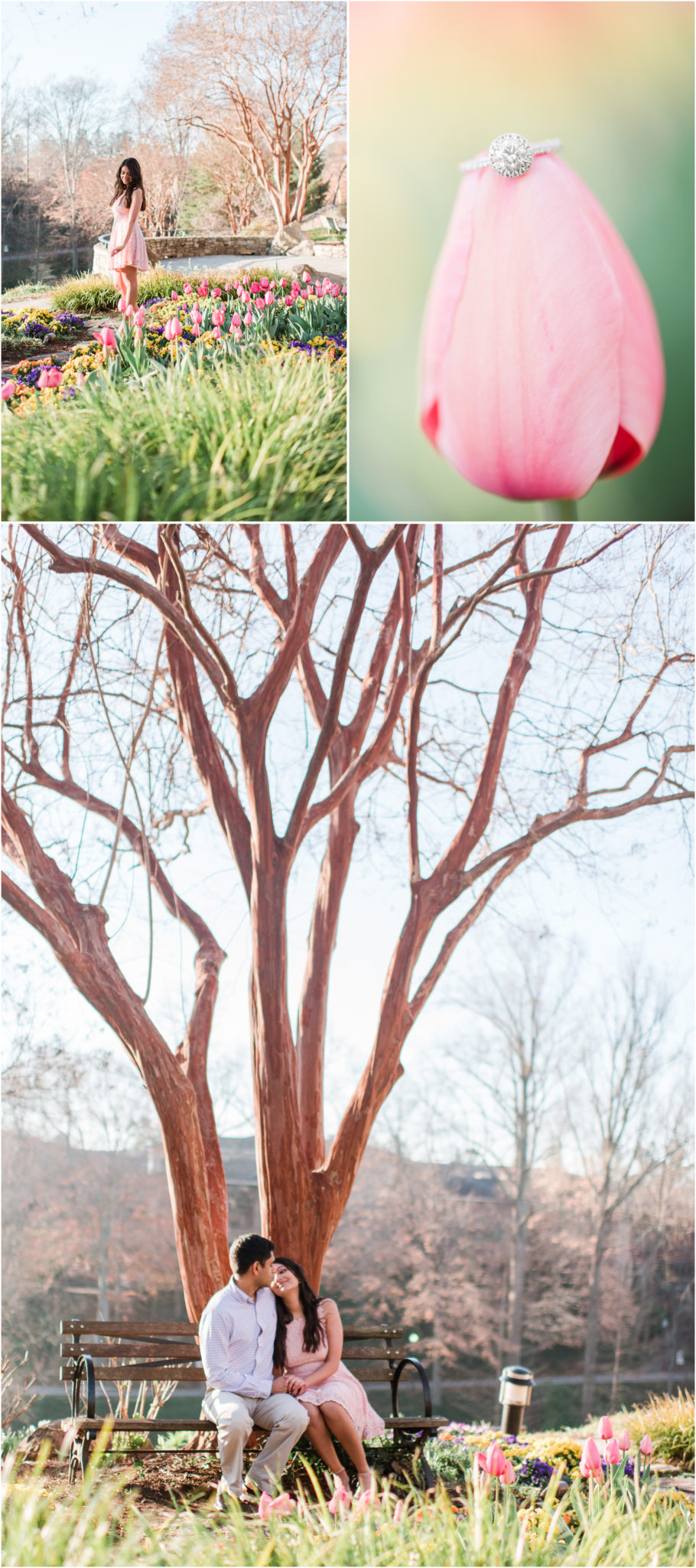 Downtown Greenville Falls Park Engagement Session with tulips