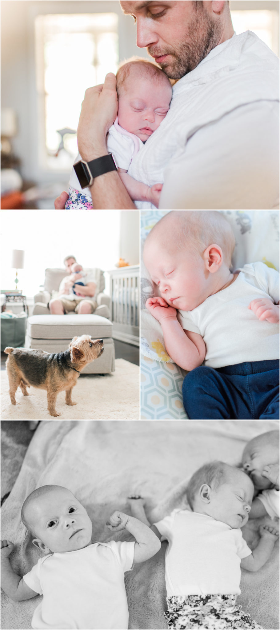 Triplet Lifestyle Newborn Session in Greenville South Carolina